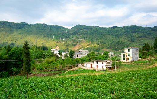 金寨县笔架山村貌